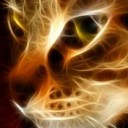 สมาชิกหมายเลข 979054