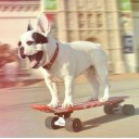 สมาชิกหมายเลข 1263857