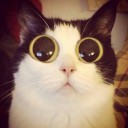 สมาชิกหมายเลข 1765073