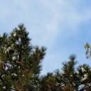 สมาชิกหมายเลข 1024005