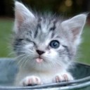 สมาชิกหมายเลข 792989