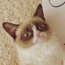 สมาชิกหมายเลข 979107