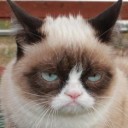 สมาชิกหมายเลข 979108