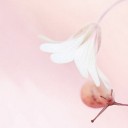 สมาชิกหมายเลข 798201