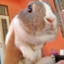 สมาชิกหมายเลข 2218388