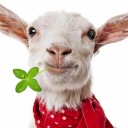 สมาชิกหมายเลข 2273100