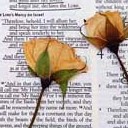 สมาชิกหมายเลข 3473436