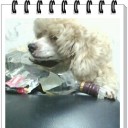 สมาชิกหมายเลข 889558