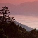 สมาชิกหมายเลข 979694