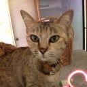 สมาชิกหมายเลข 979883