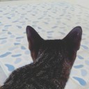 สมาชิกหมายเลข 3415092