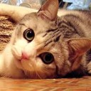 หลานอุ้ยมา