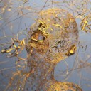 สมาชิกหมายเลข 980047