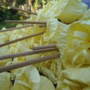 สมาชิกหมายเลข 980160