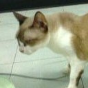 สมาชิกหมายเลข 1382606