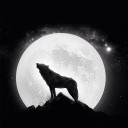 สมาชิกหมายเลข 1723287