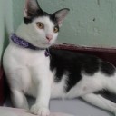 สมาชิกหมายเลข 2816508