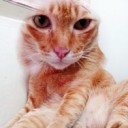 สมาชิกหมายเลข 954602