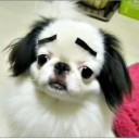 สมาชิกหมายเลข 1066724