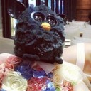 สมาชิกหมายเลข 1427530