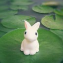 สมาชิกหมายเลข 3433960