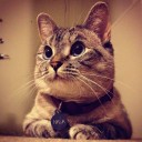 สมาชิกหมายเลข 3475321