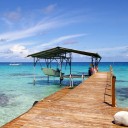 สมาชิกหมายเลข 865334