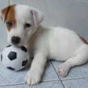 สมาชิกหมายเลข 1442591