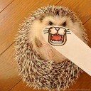 สมาชิกหมายเลข 1383732