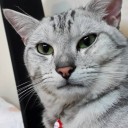 สมาชิกหมายเลข 1809679