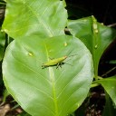 สมาชิกหมายเลข 3021997