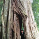 สมาชิกหมายเลข 2969869