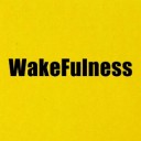 WakeFulness