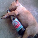 สมาชิกหมายเลข 981752