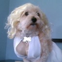 สมาชิกหมายเลข 982275