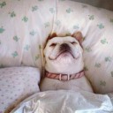 สมาชิกหมายเลข 982295