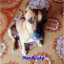 แม็ก เมืองเหนือ