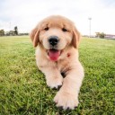 สมาชิกหมายเลข 2469670