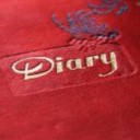 Amusing Diary