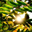 สมาชิกหมายเลข 836915