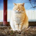 สมาชิกหมายเลข 2614065