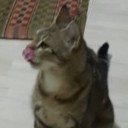 สมาชิกหมายเลข 2916140