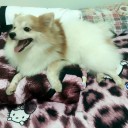 สมาชิกหมายเลข 3477738