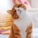 สมาชิกหมายเลข 856050