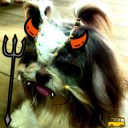 สมาชิกหมายเลข 983076