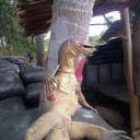 สมาชิกหมายเลข 983082