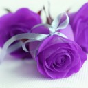 เหรียญหนึ่งเหรียญที่มีสองด้าน