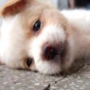 สมาชิกหมายเลข 1245810