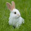 สมาชิกหมายเลข 1745954