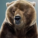 หน้าหมีโลกสวย